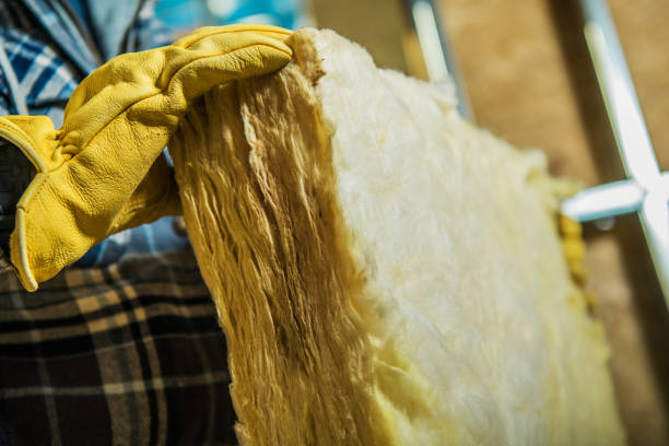 Best Insulation Installation Services in Porter Heights, TX